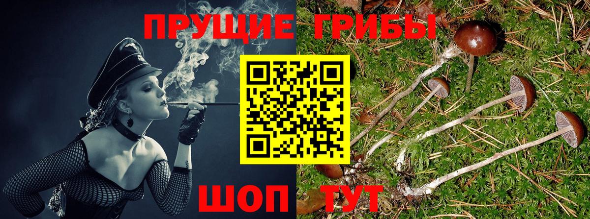 Псилоцибиновые грибы ЛСД Гагарин