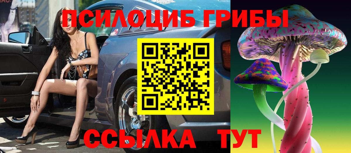 Гагарин  Галлюциногенные грибы Psilocybe  Вход с VPN  Псилоцибиновые грибы мицелий 